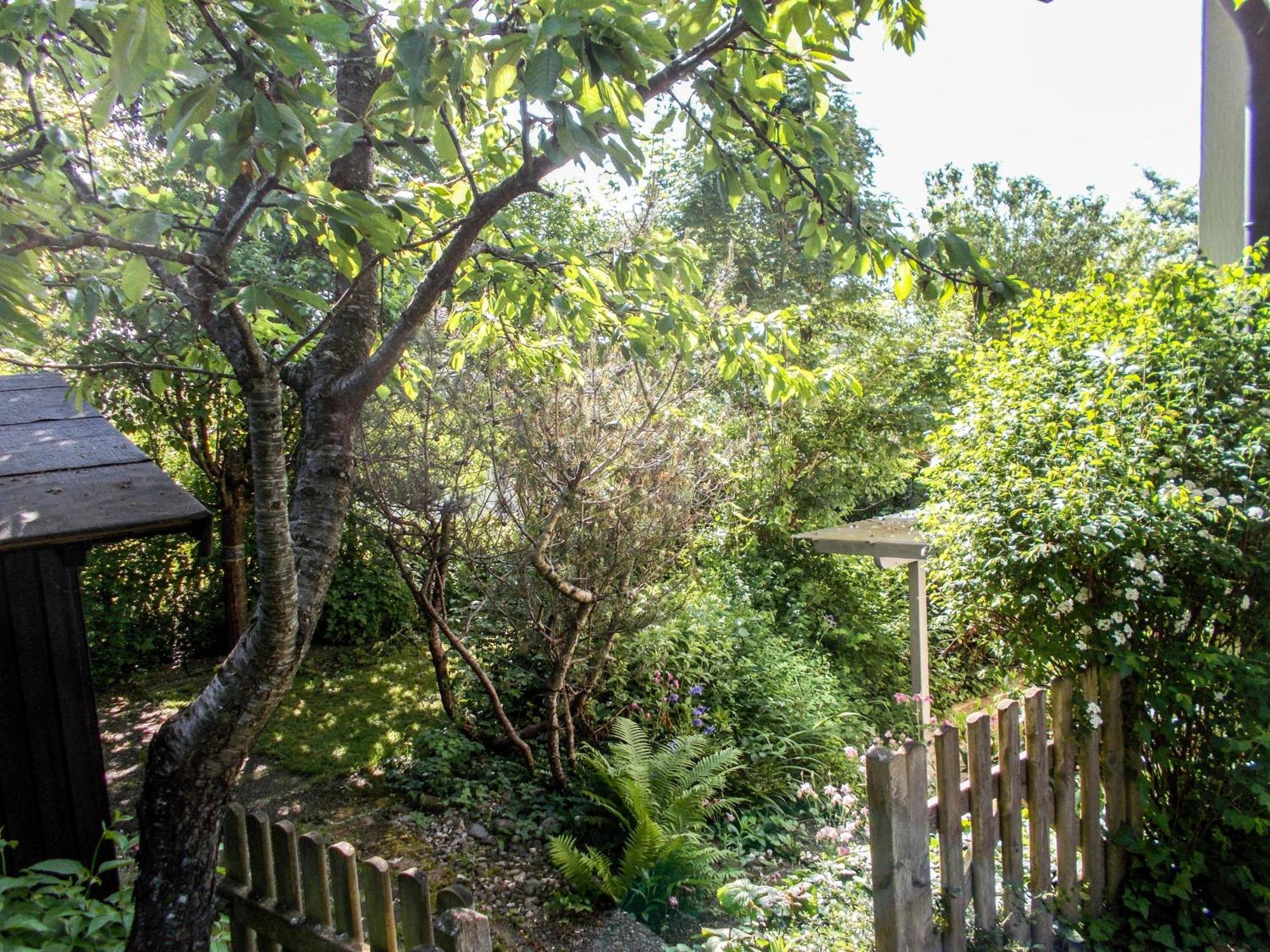 Im Herzen Der Natur Herdwangen-Schonach Экстерьер фото